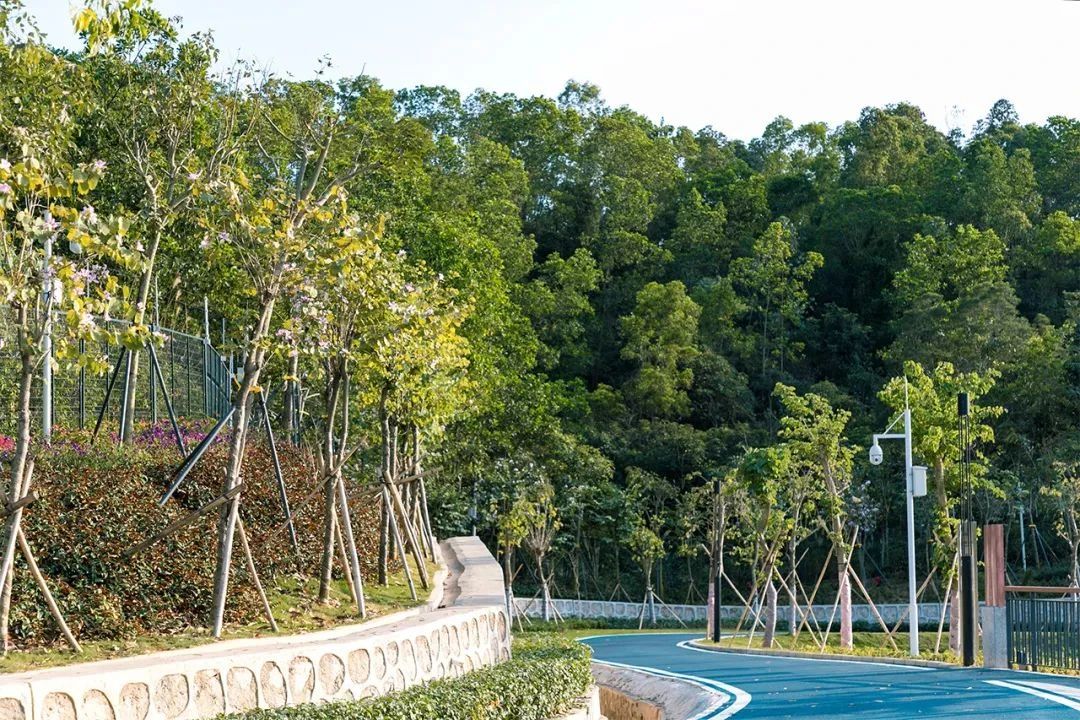 最美湖泊小众风景,最美湖泊西湖