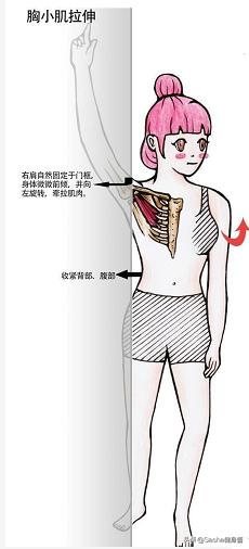 一招改善圆肩驼背头前倾,圆肩驼背矫正最有效方法坐着
