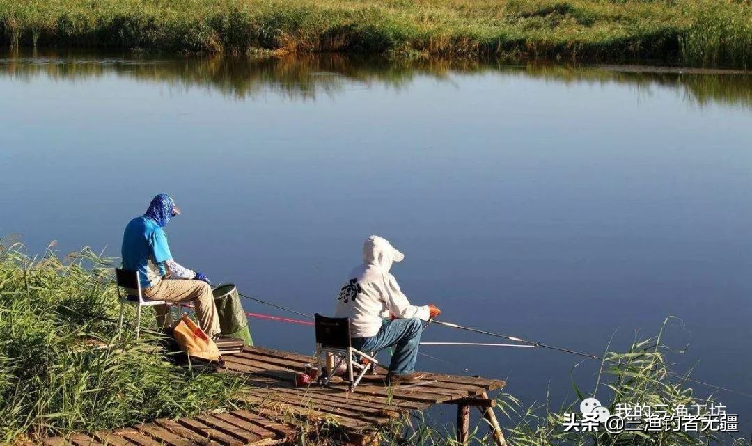 大鱼小鱼混养小鱼抢不到食怎么办,小鱼经常咬钩钓不上来怎么办