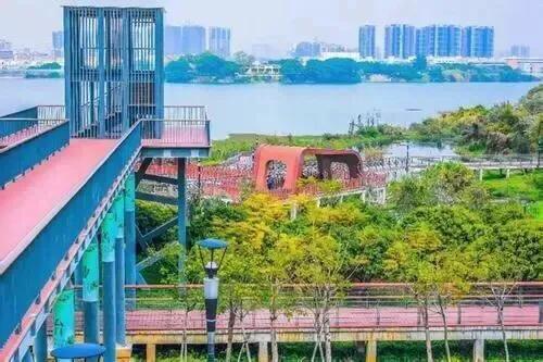 深圳十佳免费湿地公园,深圳十大免费公园排行榜最新名单