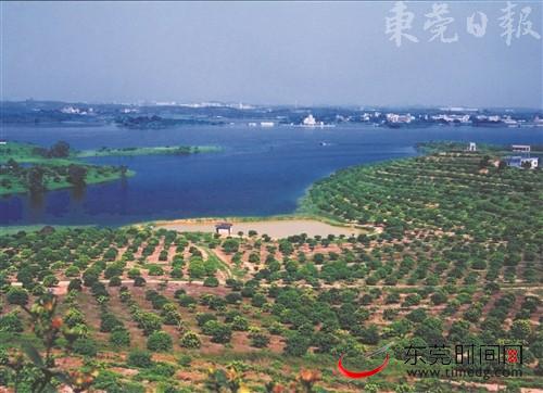 深圳人“买走”半个东莞，这个片区成最大热门