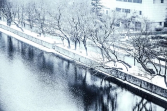 天津超级大学火了！占地3750亩，坐拥3大校区13个餐厅，装潢高级还有包间