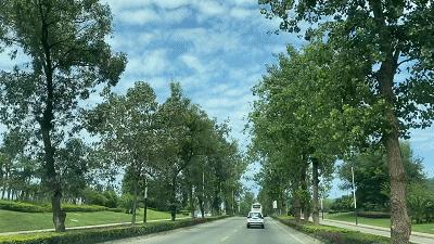 宝藏龙泉驿,成都龙泉驿区附近的宝藏店