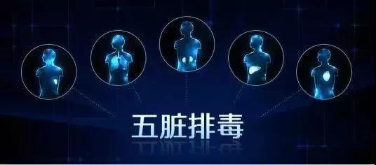 微提醒养生排毒,养生排毒的温馨提示