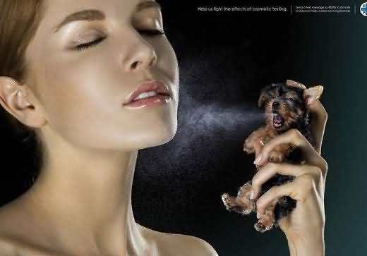 要美丽就不能怕痛,要美丽要善良