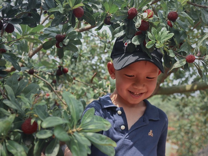 火山岛旅游攻略自由行包车,火山岛三天两晚游