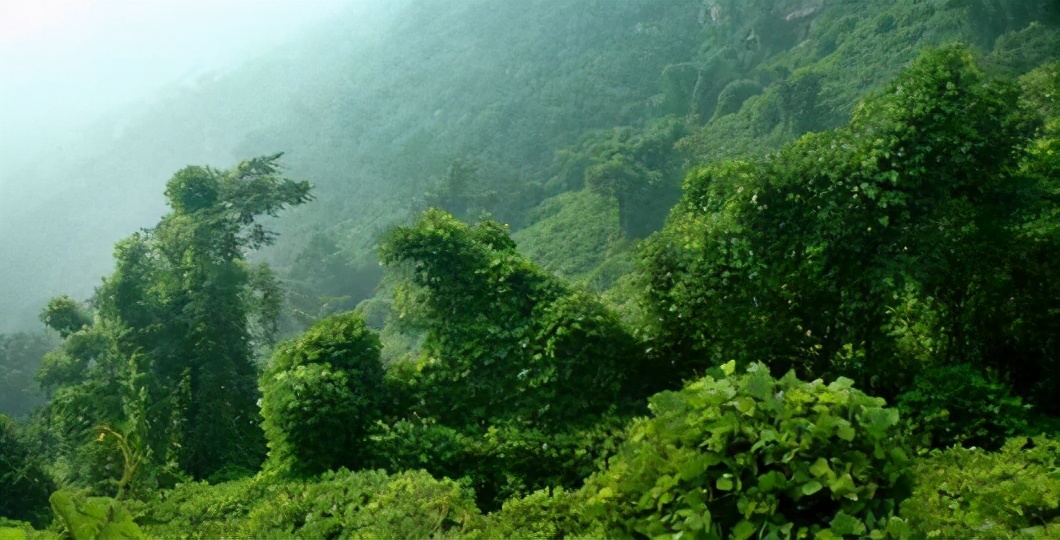 石家庄4a级景区名单,2021年12月石家庄市十大旅游景区