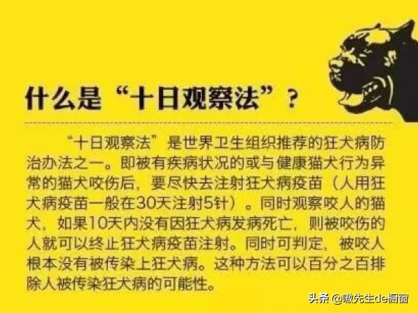 十几年前被猫咬伤没打狂犬疫苗,没被猫狗咬伤可以注射狂犬疫苗吗
