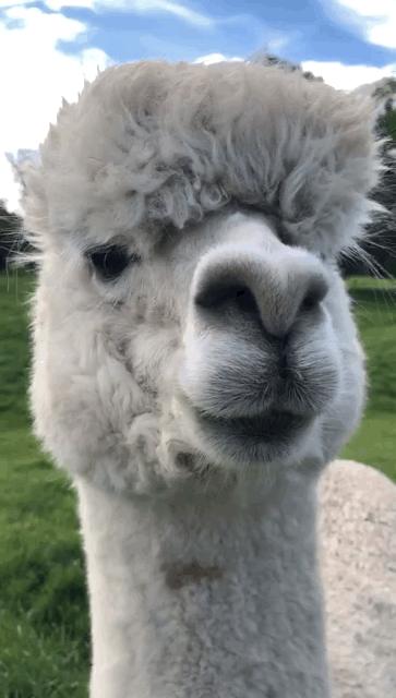 冰雪奇缘的美丽瞬间,冰雪奇缘照进现实