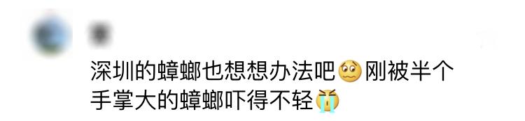 家里蟑螂多用什么方法灭蝇效果好,除蟑螂家用灭蟑神器