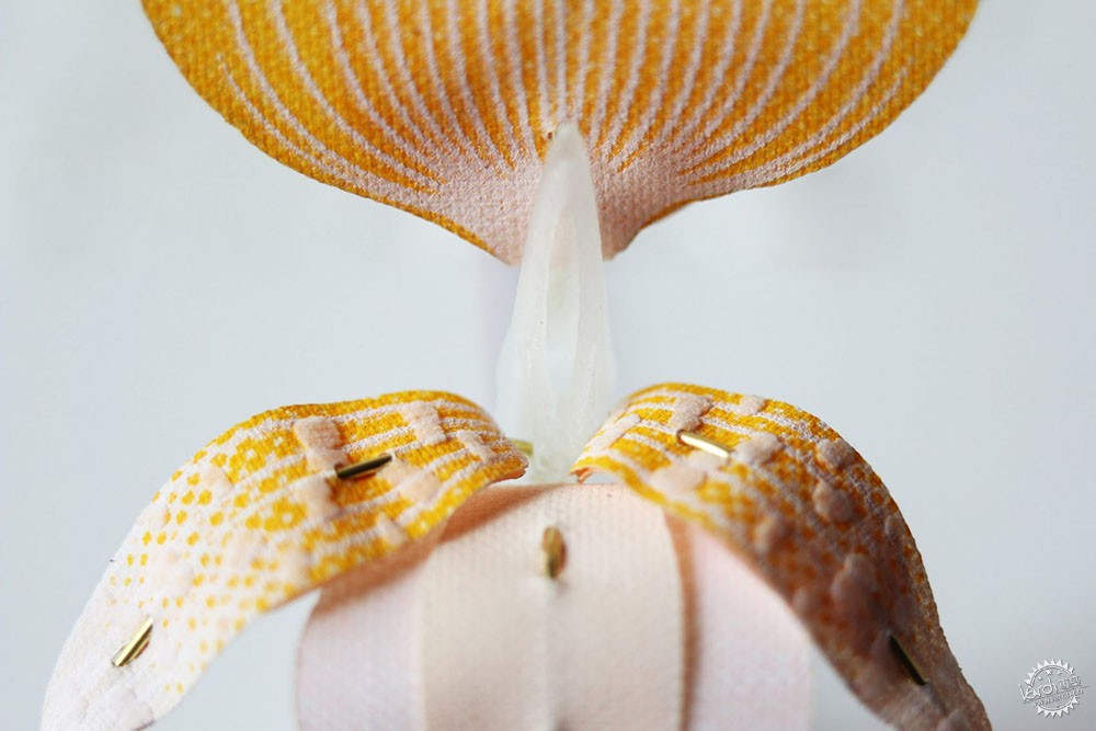 面对城市里日益减少的昆虫，设计师能做些什么？