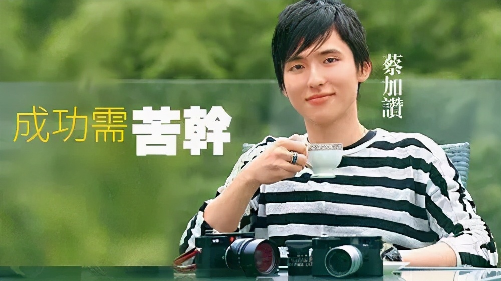 徐子淇嫁的豪门到底有多豪,徐子淇嫁入豪门八年生四子