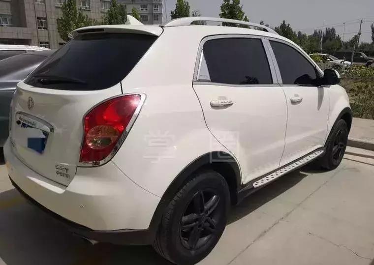 NO.870:鸽子在天上飞的呢,阿克苏却有人要买1000只…