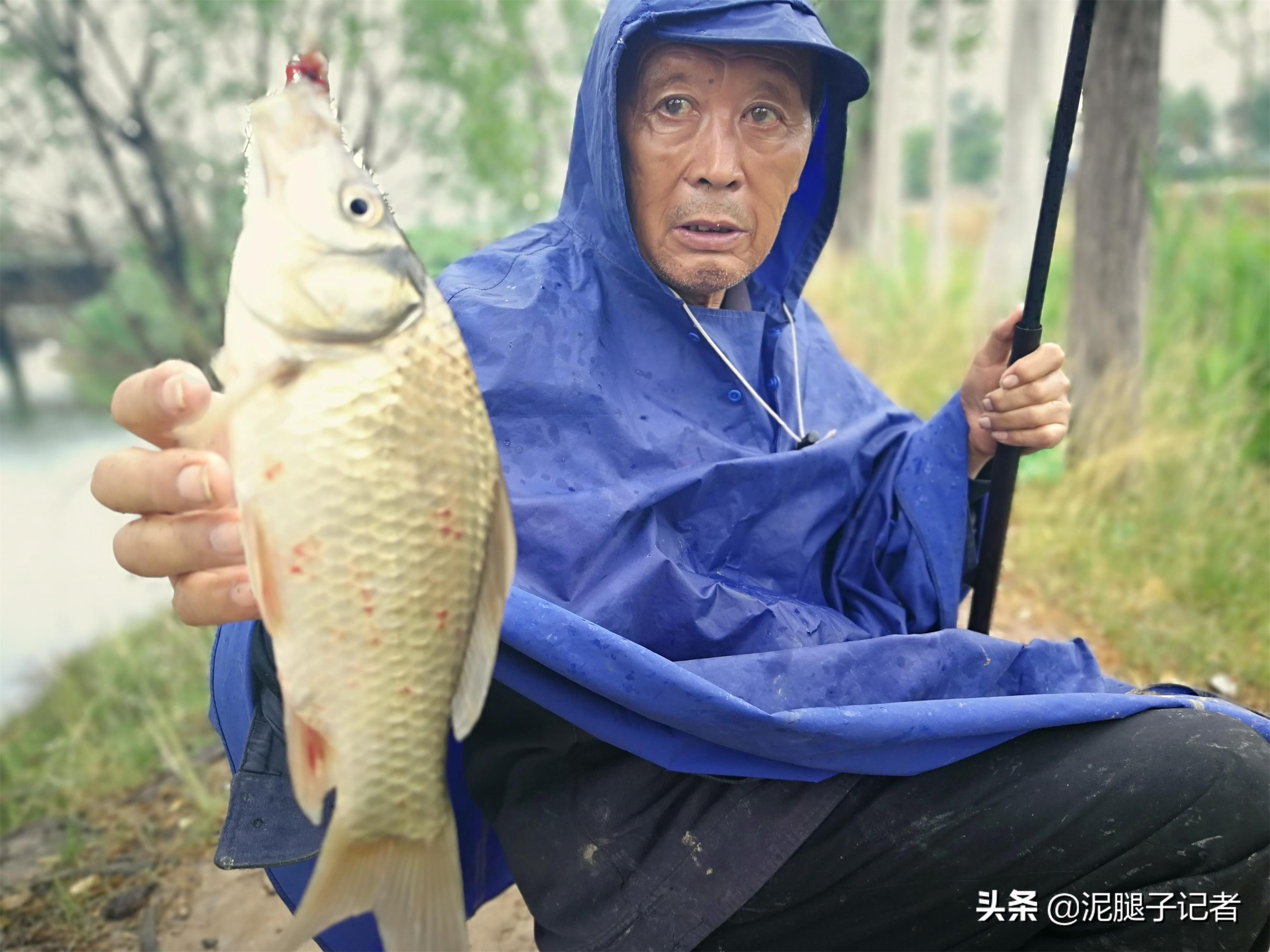 73岁老汉钓鱼30年谈经验：钓获鱼儿先不要吃，静养一周再下锅