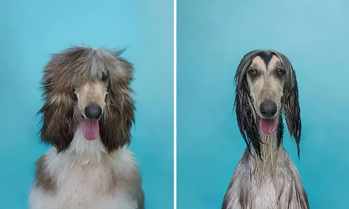 头发怎么洗蓬松没有头屑,洗完头头发蓬松毛躁怎么办