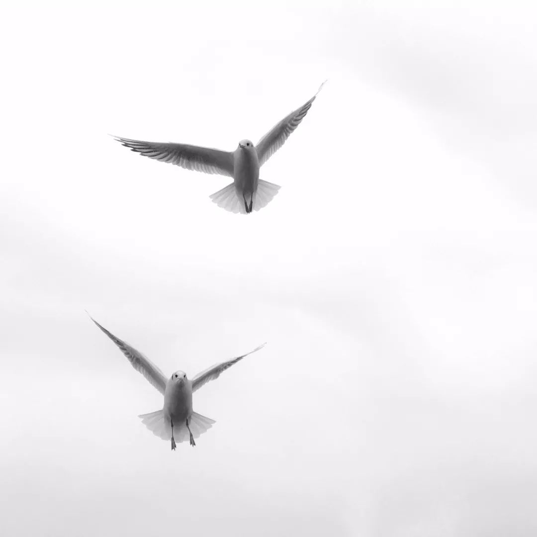 iphone自带相机如何设置美颜,新手iphone使用注意事项