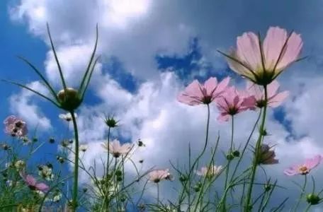 孕产期保健指南,孕期避坑手册