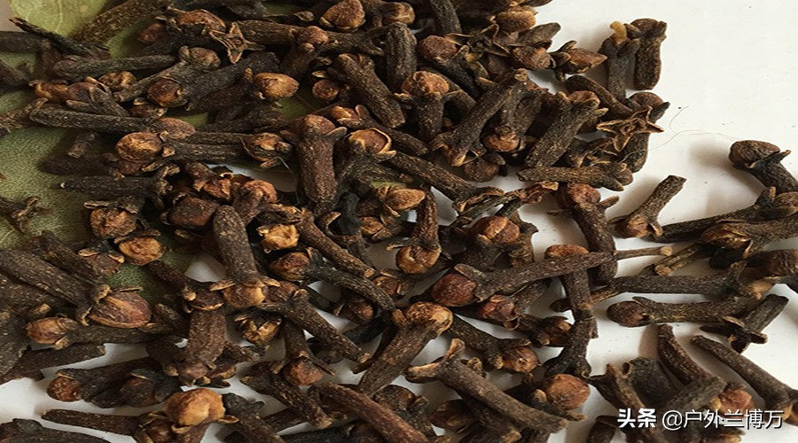 钓友公认钓鱼药酒,钓友公认好用的药酒