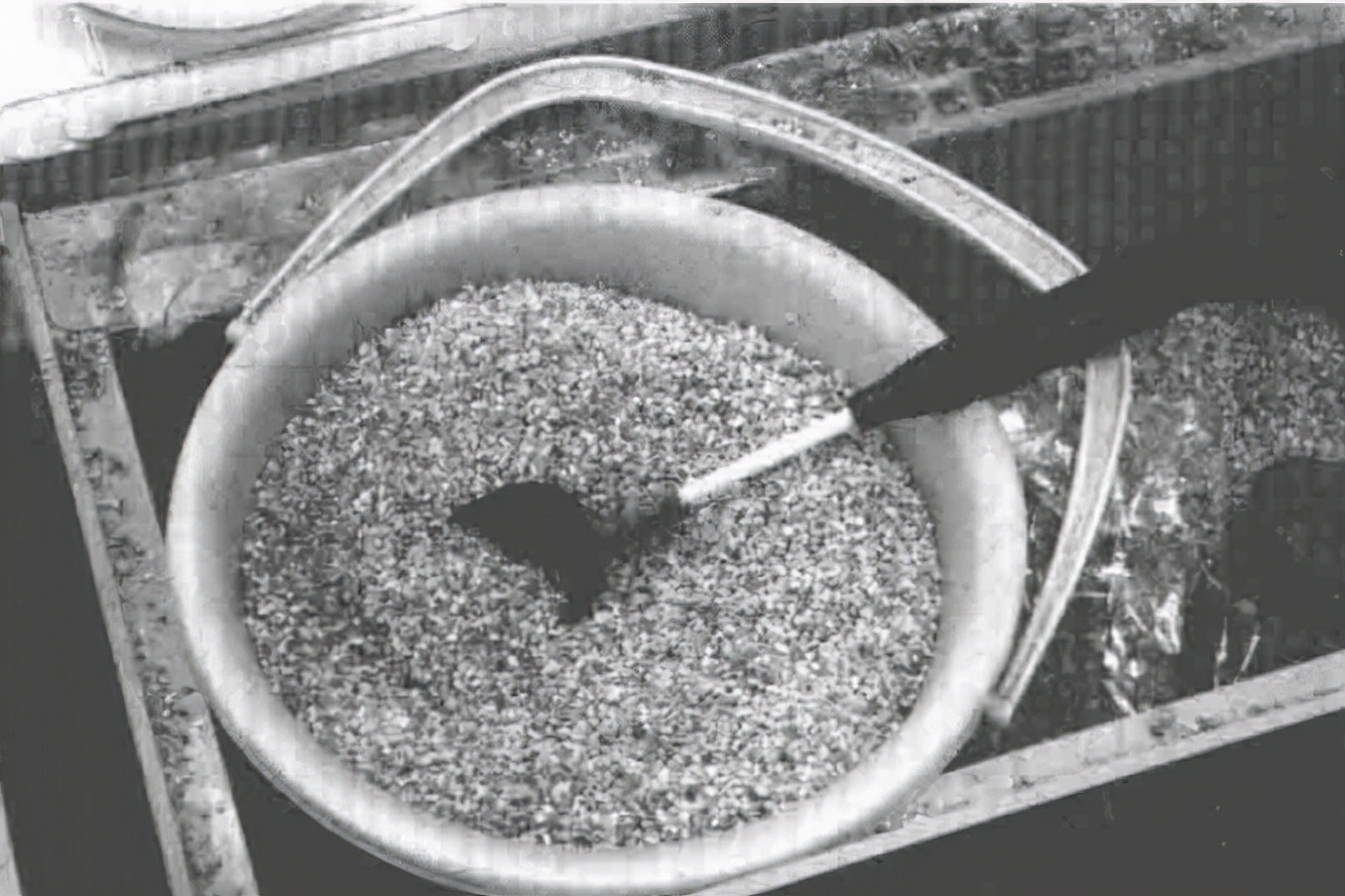 「日本专业海钓入门投钓书籍」活虫饵投钓重要的是保持虫饵新鲜