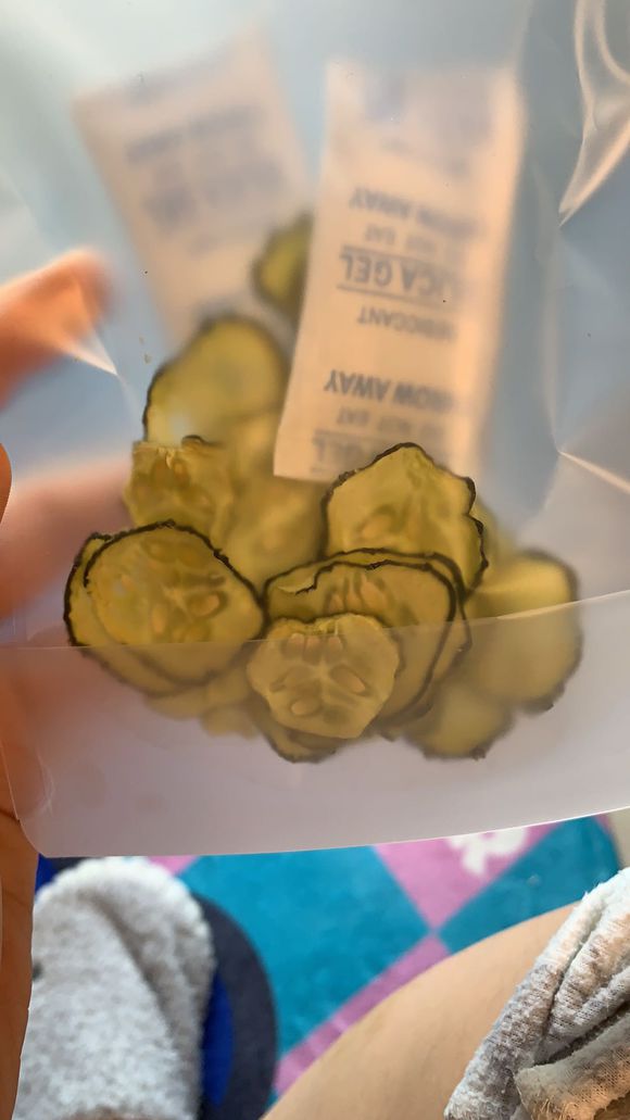 仓鼠会喂养自己的孩子吗,仓鼠可以当宠物吗