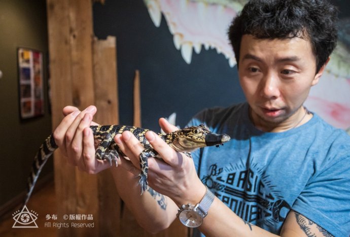 鳄鱼宝宝好用吗,鳄鱼宝宝婴儿用着怎么样