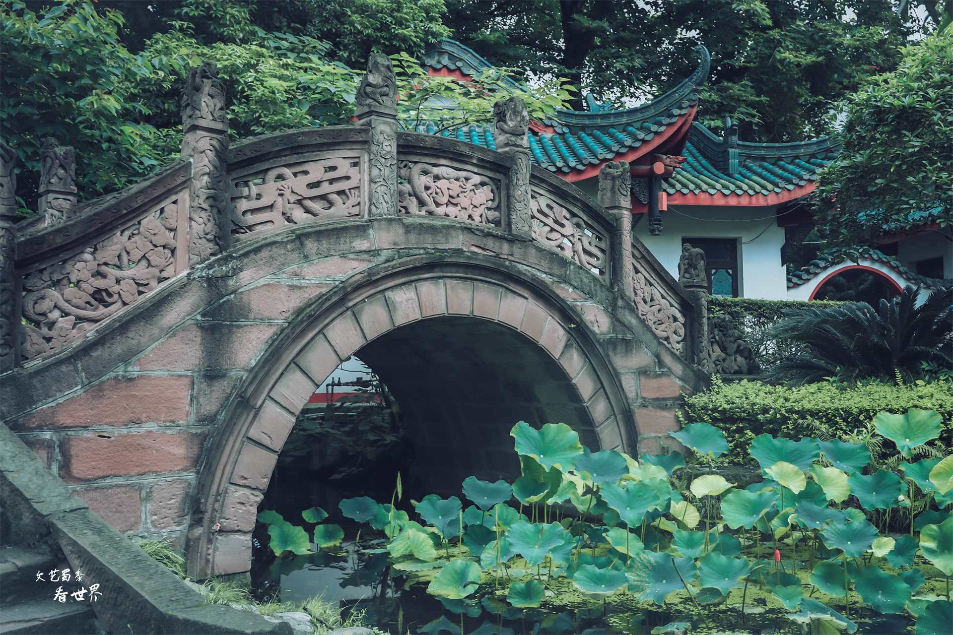 去成都旅行自由行攻略,假期去成都哪里好玩