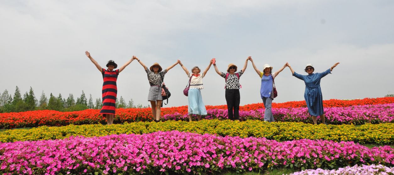 漳州东南花都花博会巡游,花博会花神巡游打卡