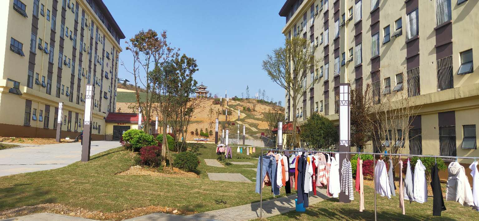 ″寓你一见钟意寝——探访黄平民中宿舍文化节