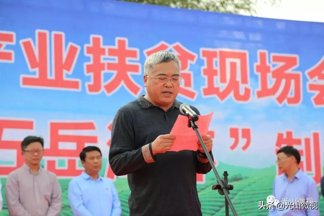 光山斗茶大赛完整版,信阳斗茶大赛获奖