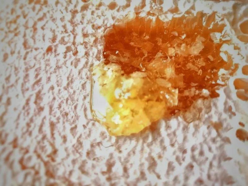 真蜂蜜和喂糖水的蜂蜜有什么区别,为什么有人说蜂蜜就是糖水