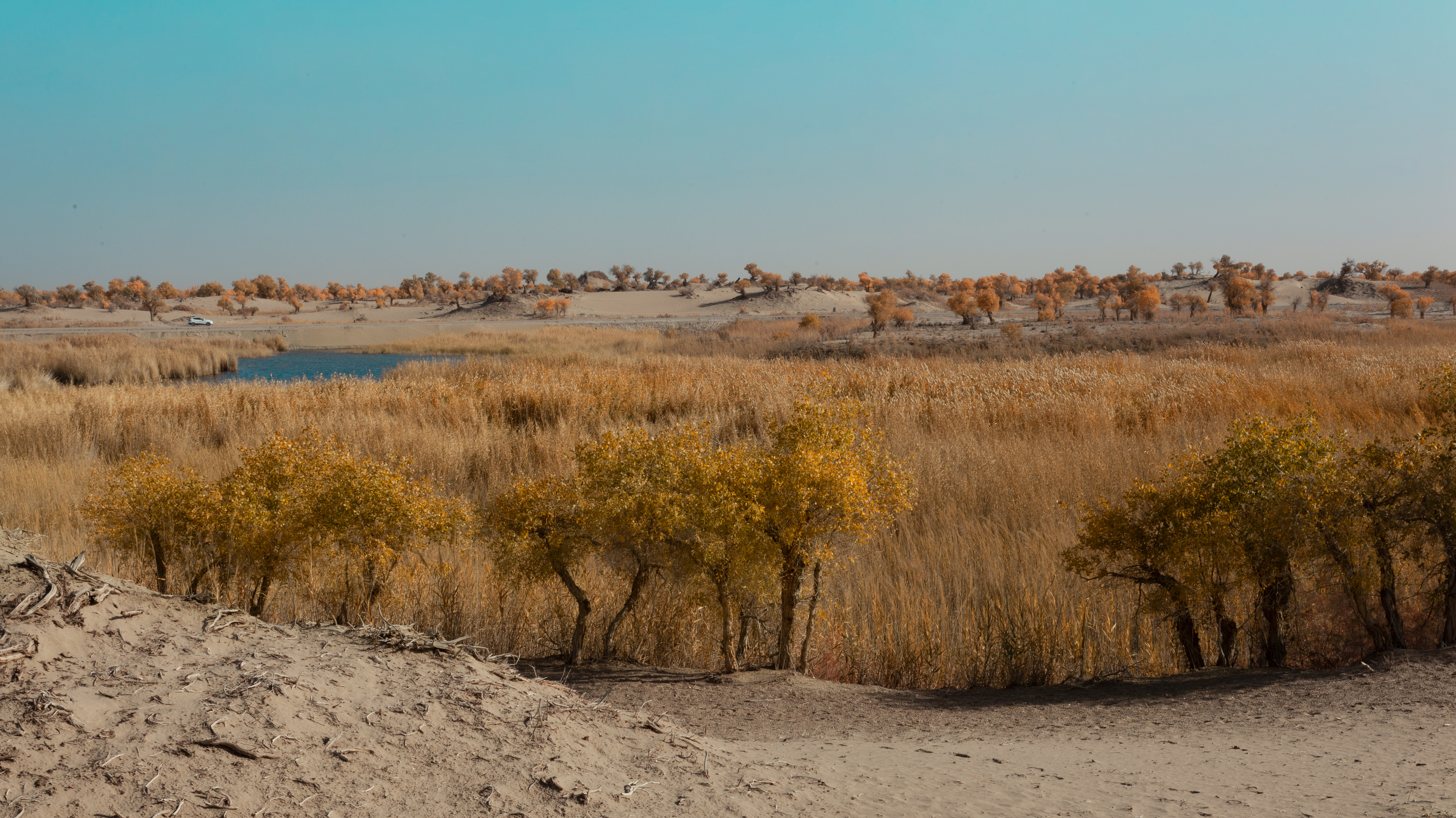他告诉我，人有多大胆，远方就有多远