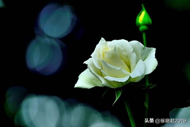 气量小的人有什么特点,气量小的人容易得什么病