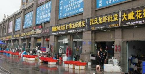 盱眙龙虾到底是什么龙虾,盱眙龙虾和潜江龙虾谁更有名