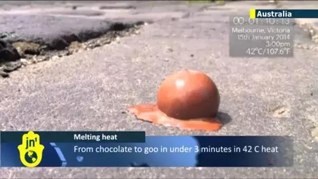 人类面临的生态困境包括哪,生态农业的可能性以及前景