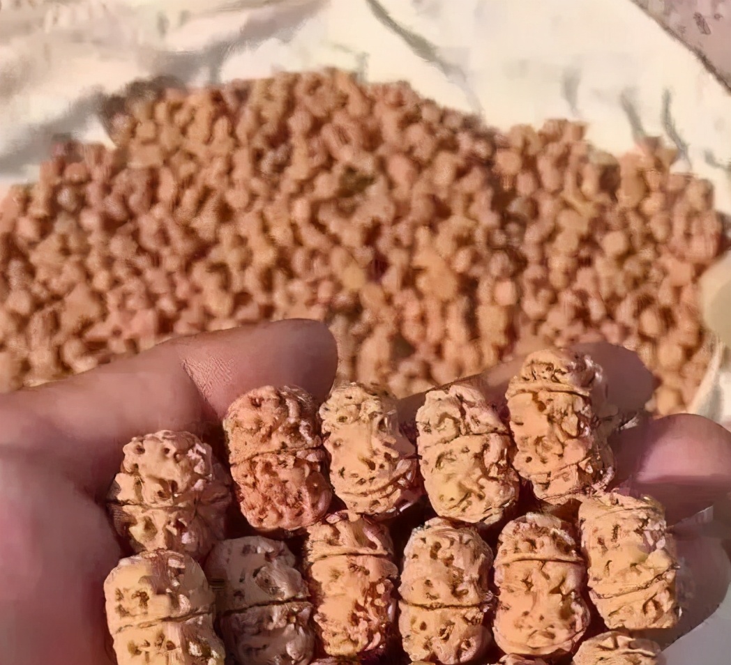 夹缝中求生存且行且珍惜,夹缝中求生存在逆境中求发展