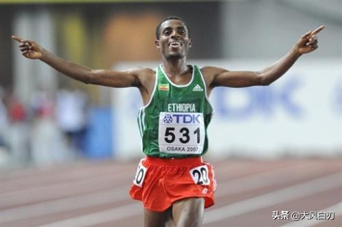 小短腿跑不快,小短腿为什么跑那么快