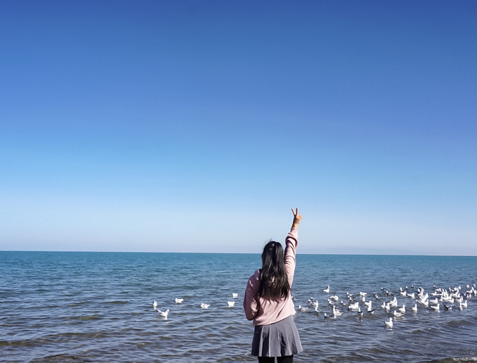 去一趟大西北的旅行,大西北旅行青藏高原