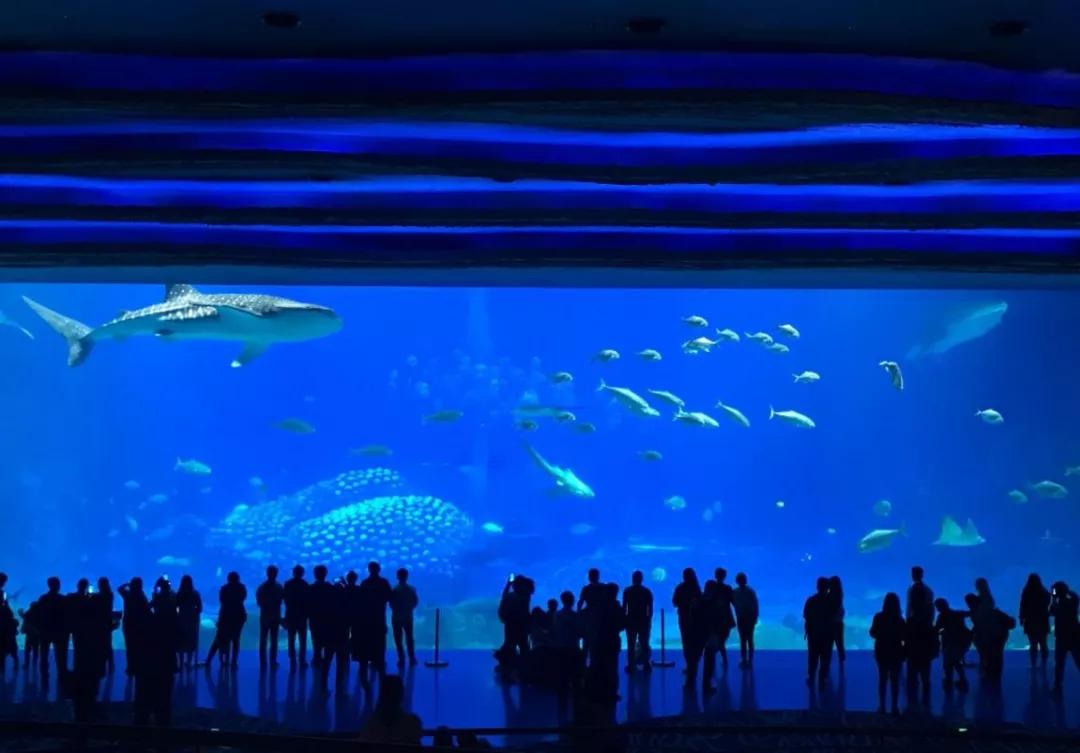 这些年带孩子去过的地方,这些年带小孩去过的地方