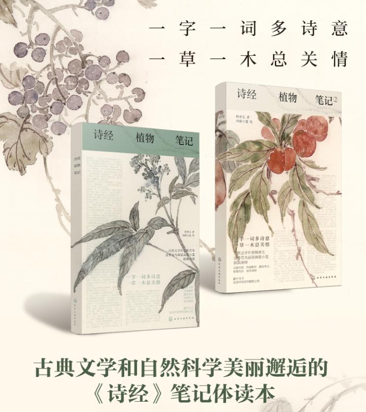 诗经中的栗子是什么样的,诗经中关于板栗的句子