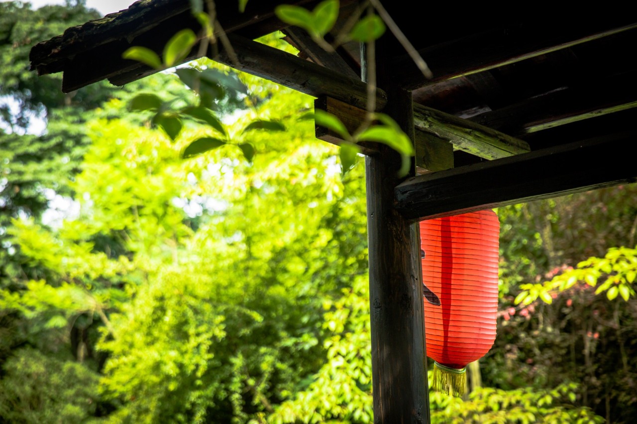 古文感悟人生哲理的名言名句,古文经典哲理名句