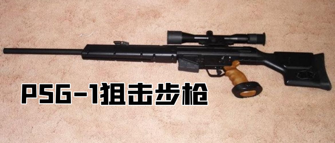 德国1930年的老枪,德国18世纪剑枪图片