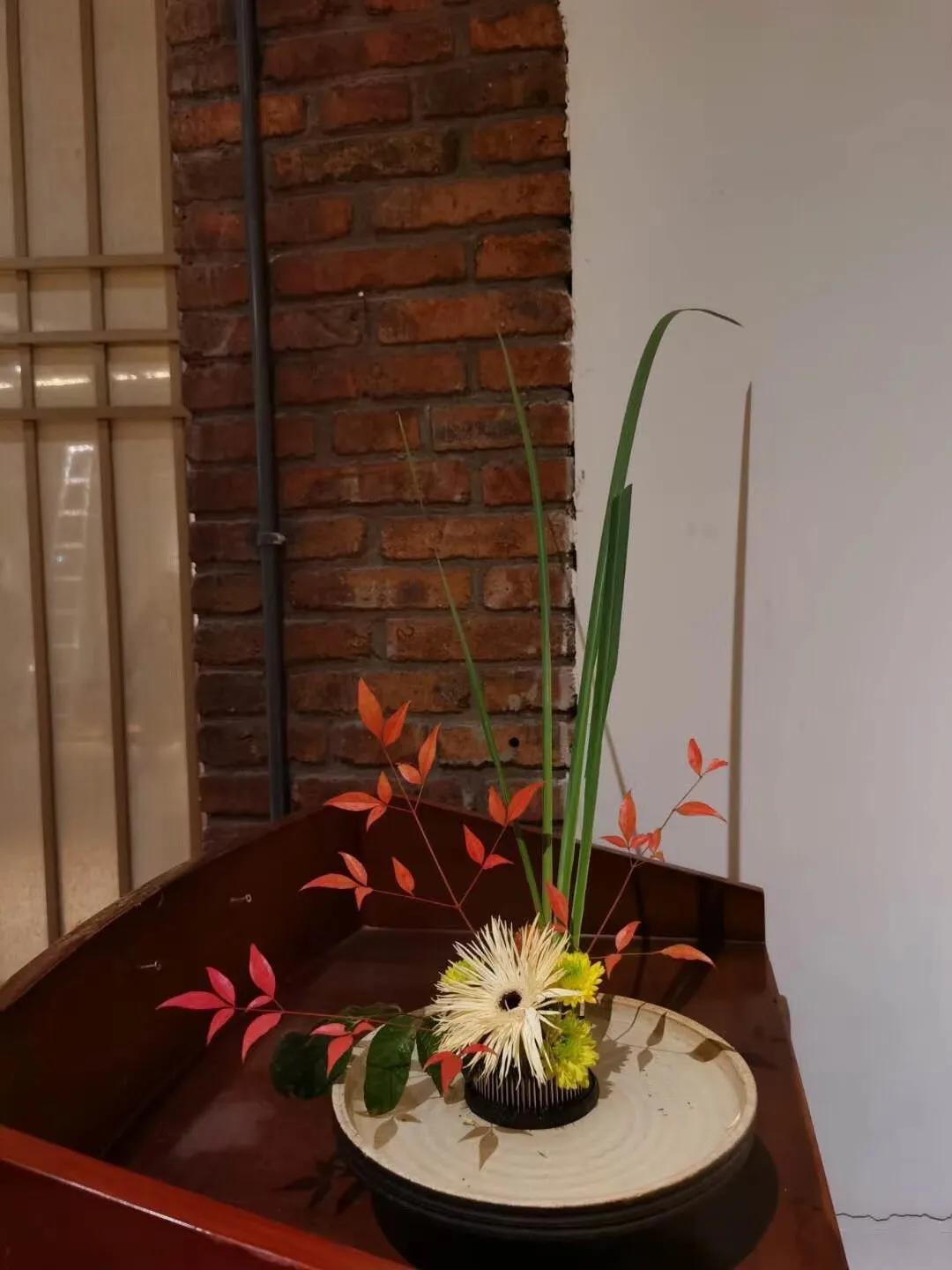 美即是正义是什么梗,美即是医用面膜吗