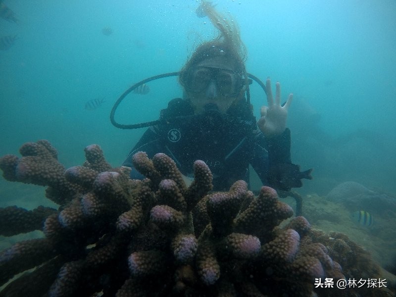 中国第一潜水基地——三亚蜈支洲岛，别名“烧钱岛”