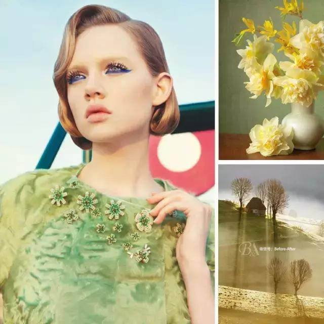 相信，即便再挑剔的人也会从中找到自己喜欢的家居