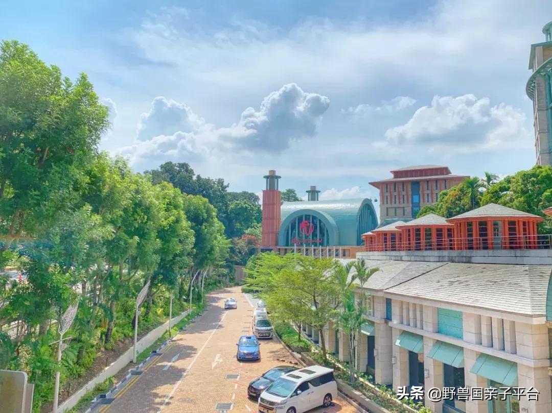 带孩子新加坡4天够玩吗,新加坡带孩子自由行几天