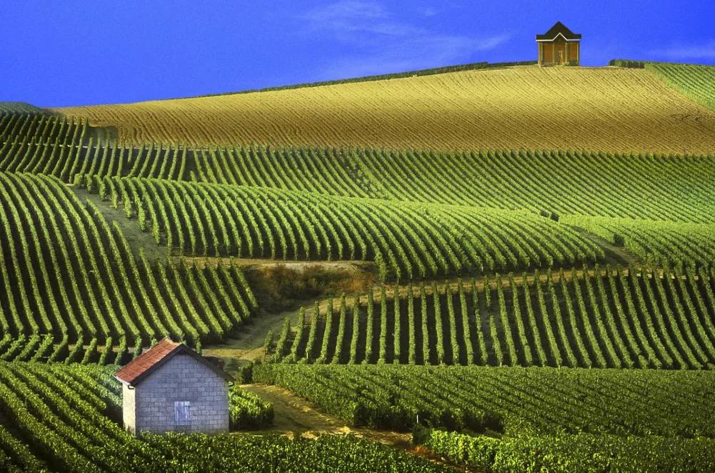 什么拉菲最正宗,什么拉菲葡萄酒值得收藏