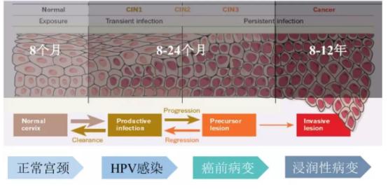预防宫颈癌疫苗真的有用吗,hpv56型阳性是否建议打宫颈癌疫苗