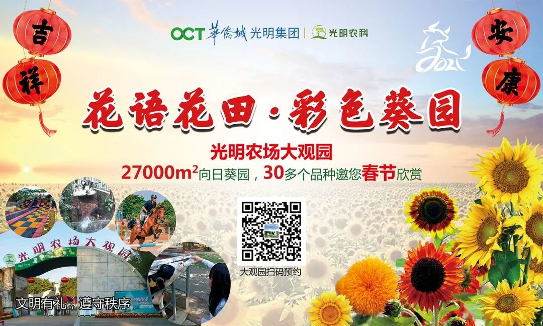 此心安处是吾乡番外篇,此心安处是吾乡21-22预告