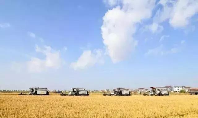 农业托管知识,托管农业是主流方向