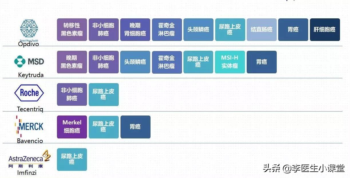 什么是免疫治癌,什么是癌症免疫治疗和生物治疗